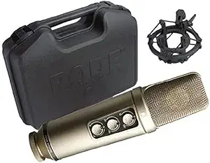 51QAmgceD8L.__AC_SY300_SX300_QL70_FMwebp_ Versatile Rode NT2000 Microphone Review for Studio Quality Sound Control