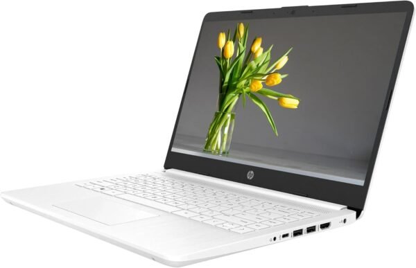 HP 14 inch Windows 11 Laptop review for ultimate productivity and entertainment