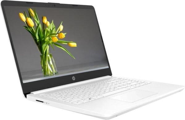 HP 14 inch Windows 11 Laptop review for ultimate productivity and entertainment